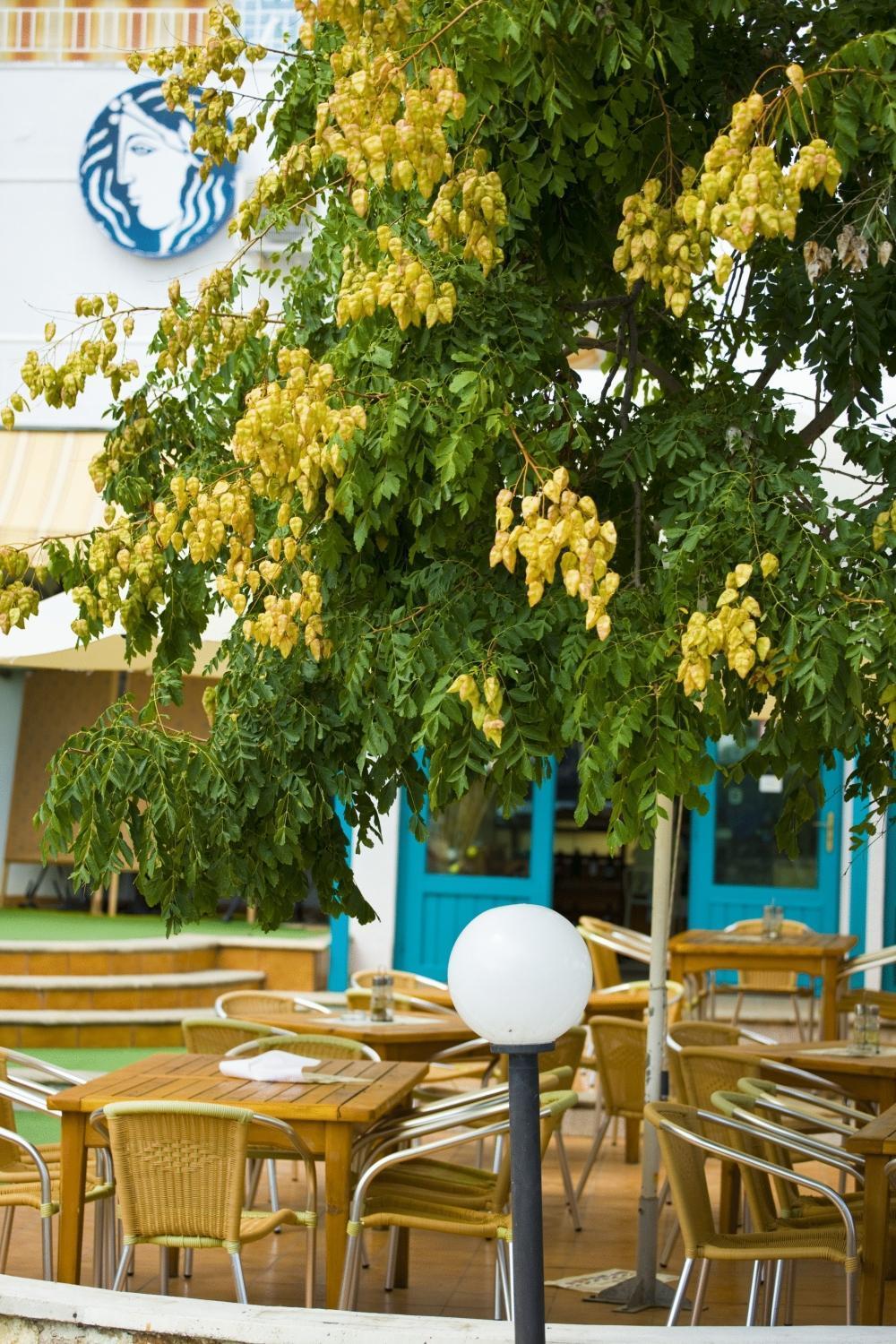 אלבנה Kaliopa Hotel מראה חיצוני תמונה